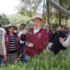 Viveros del estado con producción histórica de plantas para reforestar: Bedolla