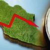 Estancamiento económico, riesgos de ligera recesión, inflación persistente e incertidumbre internacional marcan el rumbo de México