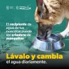 Importante reforzar medidas preventivas contra el dengue