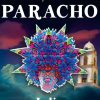 El Gran Silencio y El Tri, en el Festival Cantoya, Fiesta y Color Paracho