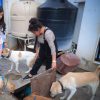 Fuegos pirotécnicos disparan 70 % reportes de perros extraviados