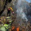 Michoacán reporta 28 incendios forestales: PC