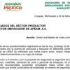 Suspende APEAM corte de aguacate en Michoacán tras violencia
