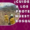 Mantiene Secretaría de Medio Ambiente abierto centro de acopio en apoyo a brigadistas forestales