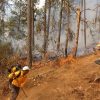 Con apoyo aéreo, 149 brigadistas combaten incendio forestal en Salvador Escalante: Cofom