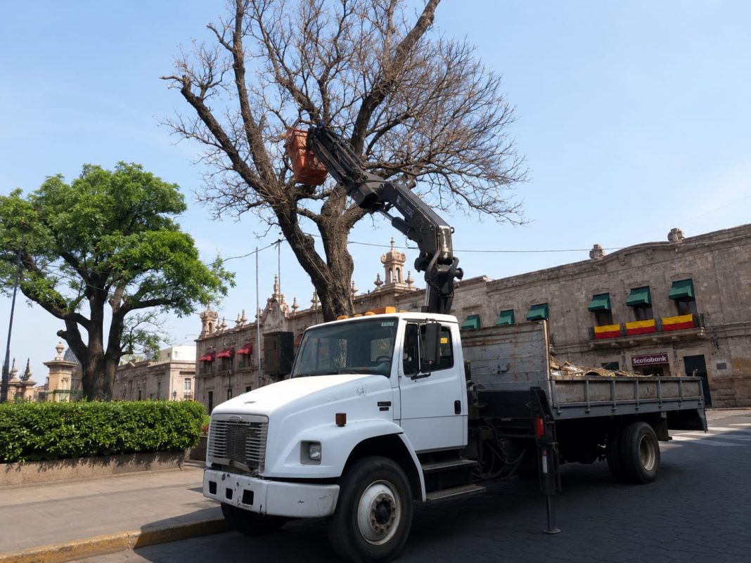 Gobierno de Morelia avanza en mantenimiento urbano y limpieza de áreas verdes de la ciudad