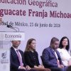 Aguacate michoacano obtiene Indicación Geográfica por IMPI