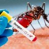 Disminuyen 96.4 % los casos de dengue en Michoacán: SSM