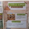 Alumnos exponen 145 proyectos de investigación en Feria Estatal de Ciencias