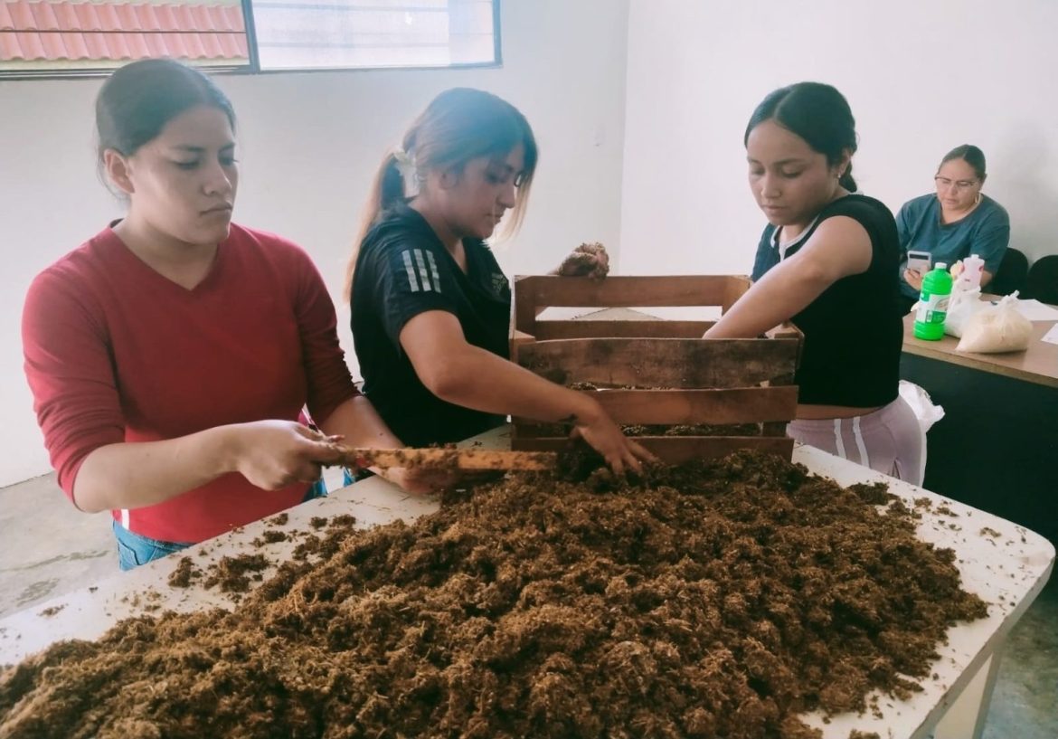 Con producción de hongo seta, impulsa el desarrollo de las mujeres morelianas