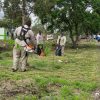 Emprenden jornada integral en el Parque Lineal Bicentenario