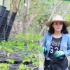 Refuerzan acciones para conservar área protegida del cerro del Punhuato