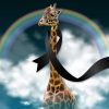 Confirma zoológico muerte de “muñeco”, la jirafa macho que estuvo 12 años en el parque