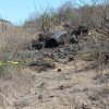 Putrefactos y con impactos de bala, localizan dos cadáveres en Zamora
