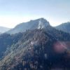 Controlado el incendio forestal en Cerro Burro de Pátzcuaro