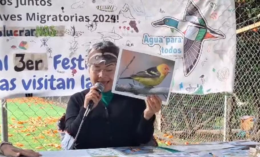 Fondo
