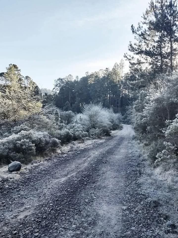 Fondo