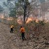 Incendio forestal en Tuxpan se atiende con brigadistas en helicópteros: gobernador