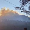 El fuego acecha la cuna de la Mariposa Monarca