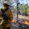 Brigadas apagan 9 incendios forestales y controlan 6: Cofom
