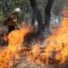 Brigadas forestales apagan 7 incendios