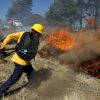 Michoacán reporta 22 mil hectáreas afectadas por incendios forestales