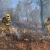 Mantienen brigadistas forestales trabajos en cinco incendios activos
