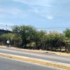 Brigadas de la Secretaría de Servicios Públicos intervienen camellones al Norte de Morelia