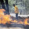 Atienden brigadistas 20 incendios forestales en 17 municipios de Michoacán
