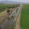 Rescate del canal de Erongarícuaro revitaliza ecosistema y economía local