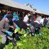 Presentan panorama de políticas migratorias y sus implicaciones para migrantes michoacanos