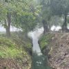Rescate del canal de Tzentzénguaro revitaliza el lago de Pátzcuaro, asegura Compesca