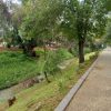 Se lleva a cabo recuperación de imagen urbana en Parque Lineal