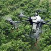 En programa piloto, lanzarán en drones semillas para coadyuvar en la reforestación