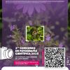 Anuncian el Concurso de Fotografía Científica 2025