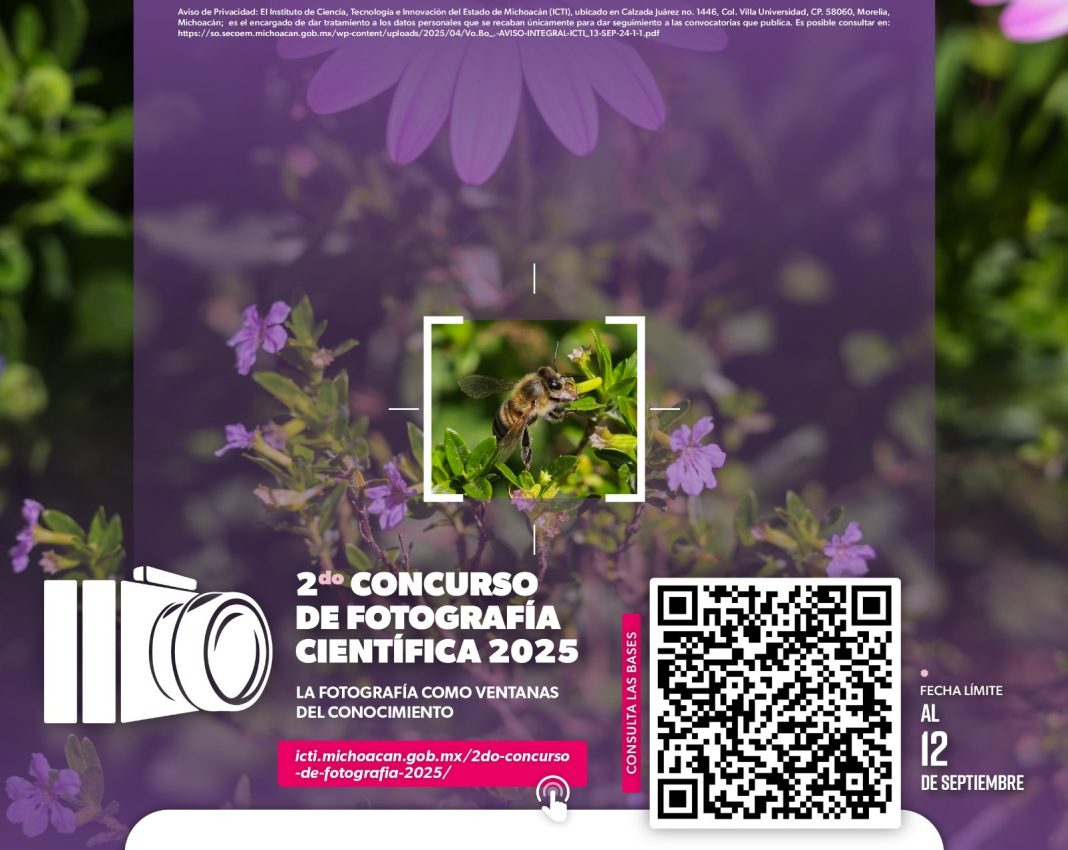 Fondo