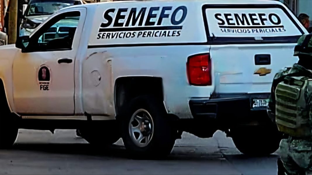 Fondo
