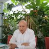 Más de dos millones de tortugas podrían ser liberadas este año en la costa michoacana