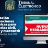 Tribunal Electrónico del Poder Judicial de Michoacán cuenta con nuevos servicios