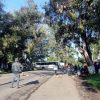 Bloquean carretera Carapan-Zamora; exigen presupuesto directo