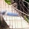 Apenas cuatro días del mes y ya van 16 asesinatos