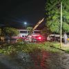Árbol cae sobre auto en la colonia moreliana Cuauhtémoc; pareja sufre leves golpes