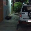 Joven de 18 años de edad asesinado a balazos en Zamora