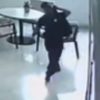 Animalistas acusan a Guardia Civil de robo en foro estatal en Uruapan