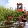 Inicia programa para rehabilitar más de 60 hectáreas del lago de Cuitzeo