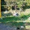Encuentran a hombre asesinado en la colonia Sindurio Norte de Morelia
