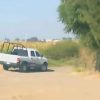Hallan a hombre descuartizado y embolsado en Indaparapeo