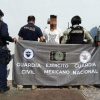 Suman 61 extranjeros detenidos en Michoacán al servicio del crimen