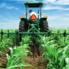 En Michoacán también protestan agricultores y campesinos