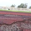 Esperan que otorguen recursos para cambiar pista de tartán del estadio Venustiano Carranza